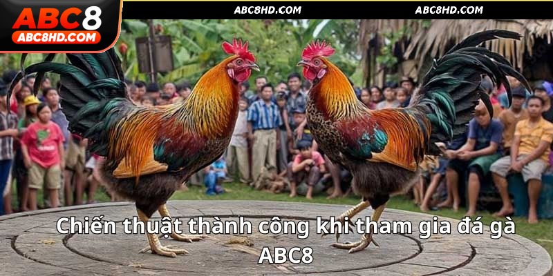 Bí quyết cược đá gà thắng lớn tại ABC8