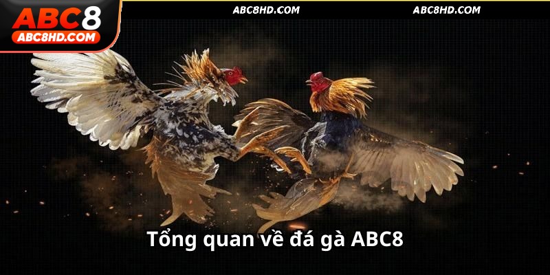 Giới thiệu về sảnh đá gà ABC8 thú vị