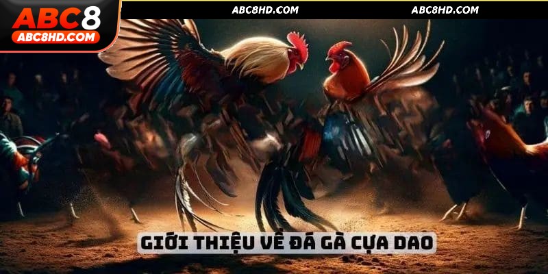 Định nghĩa về sảnh đá gà cựa dao là gì?