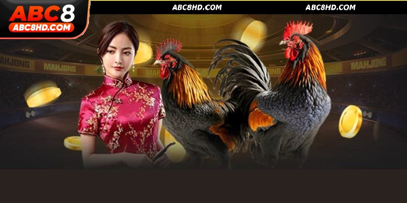 Mức thưởng đá gà Thomo hậu hĩnh